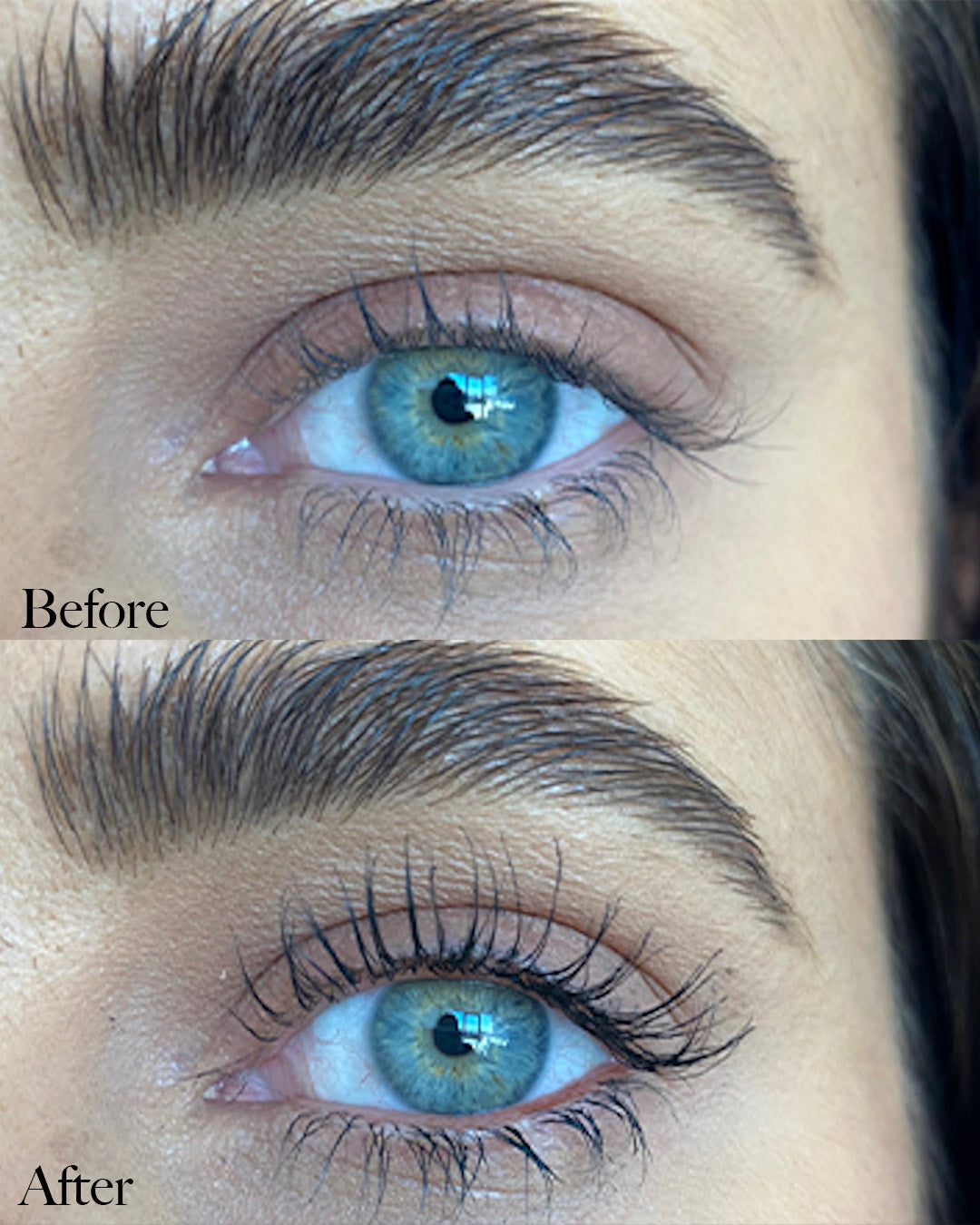 Novalora lash serum